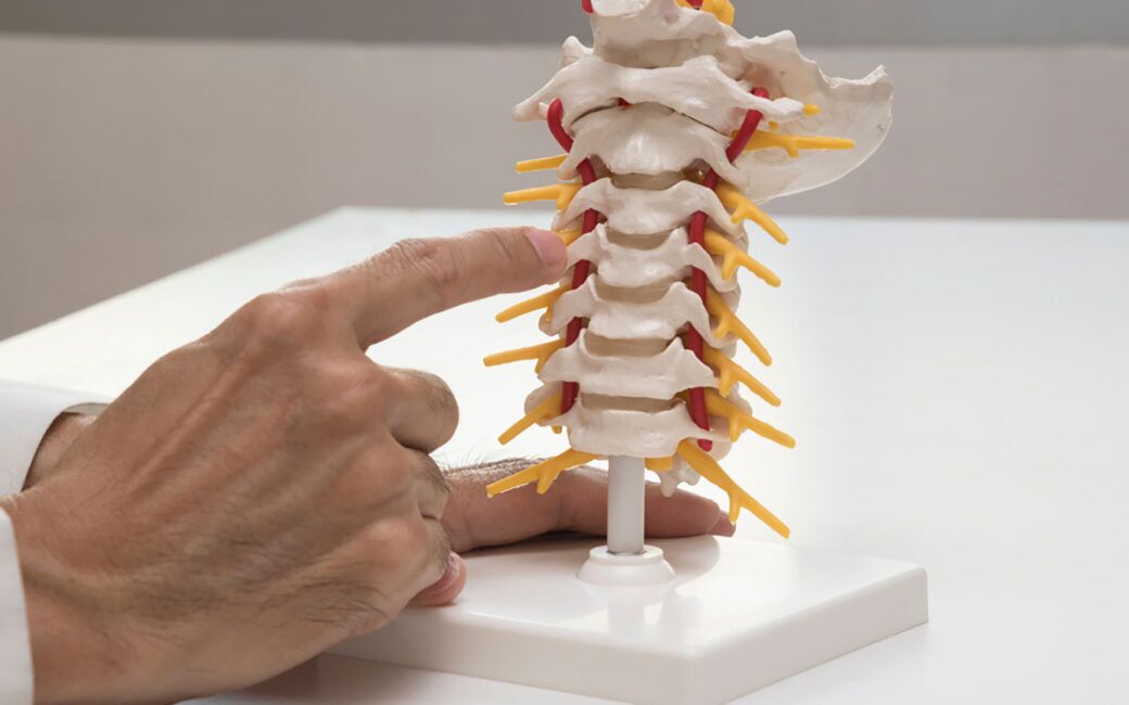 What are the common causes of back pain?